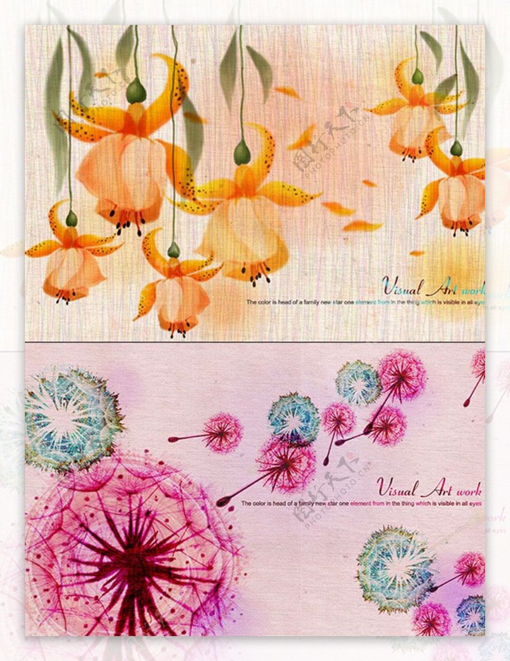 花卉背景花纹图片