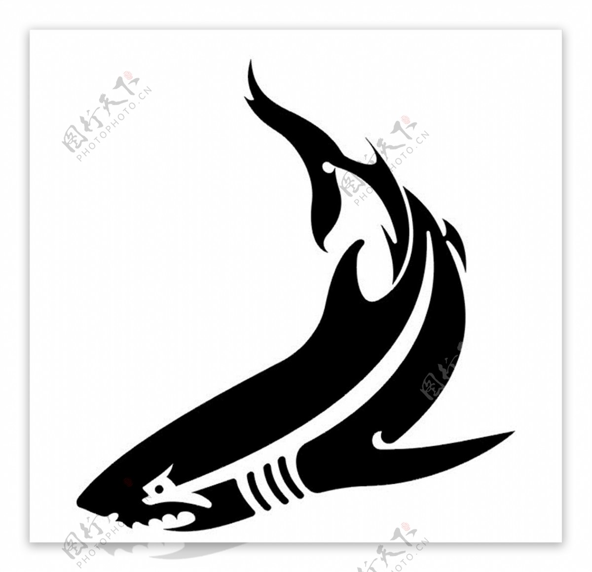 大白鲨矢量图图片