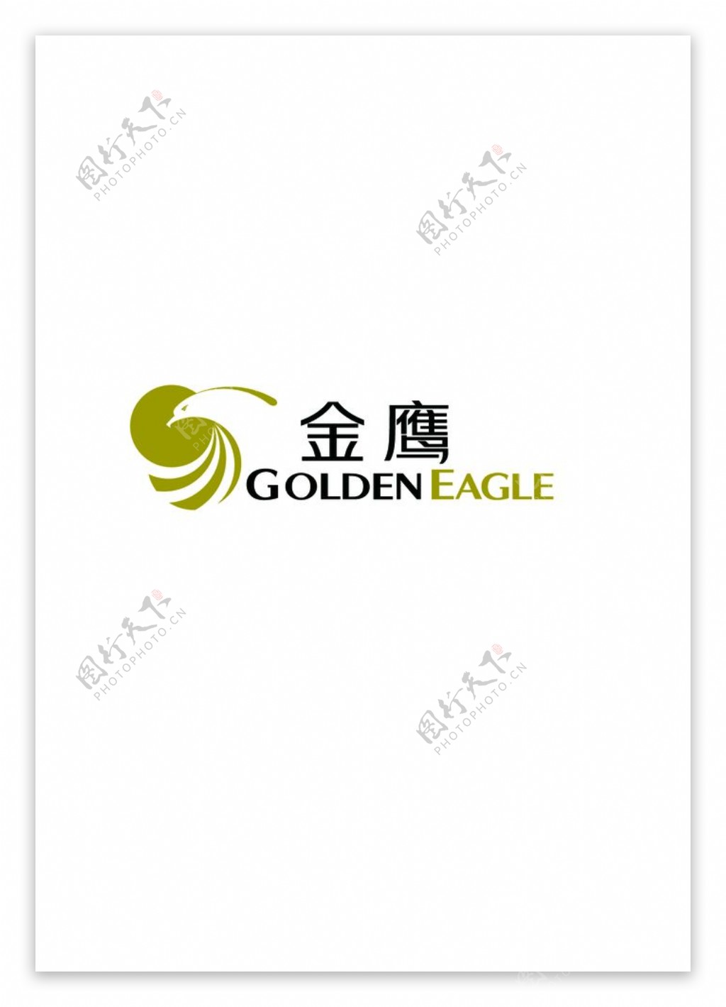 金鹰logo图片