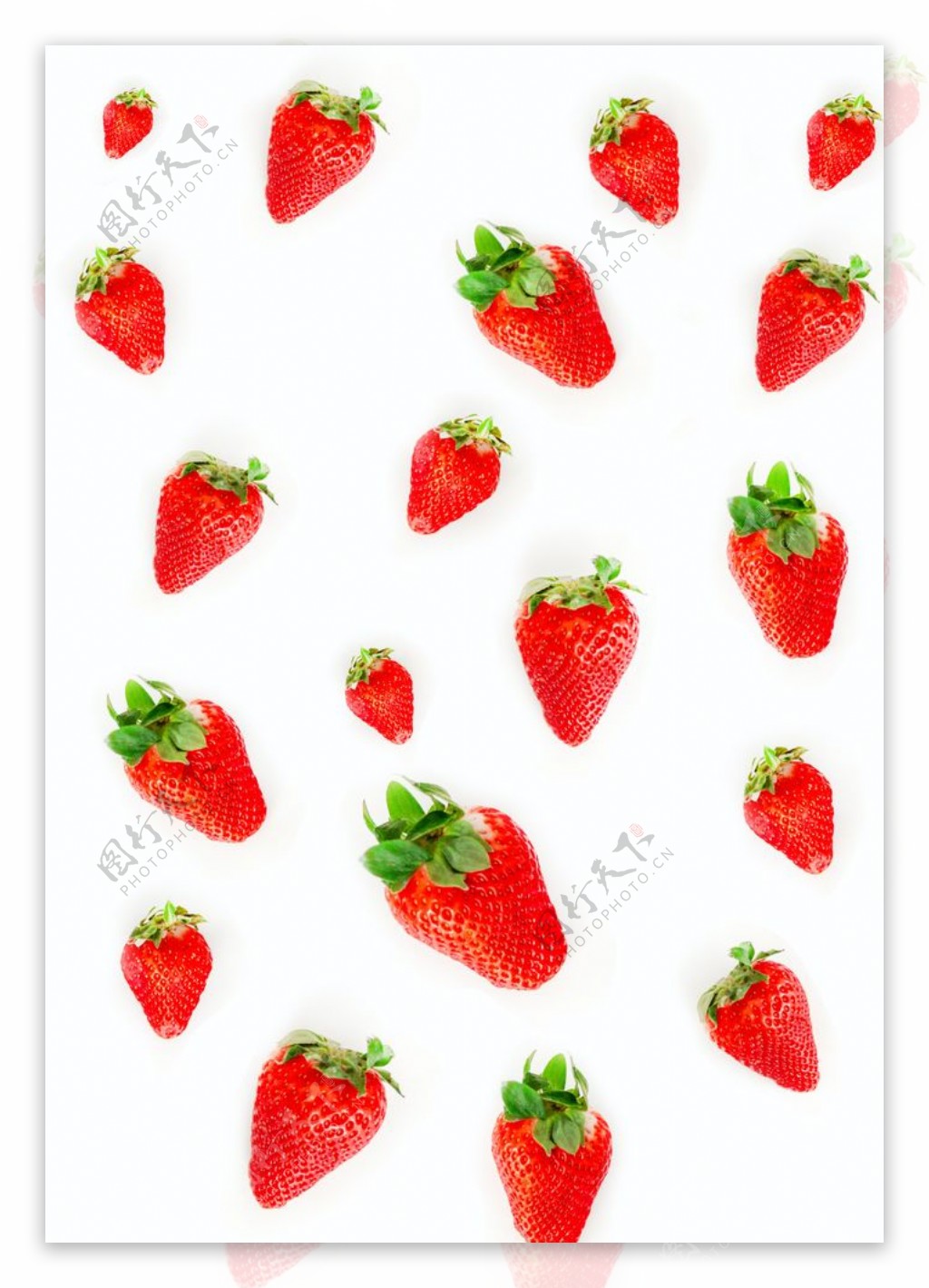 草莓099图片素材-编号26258074-图行天下