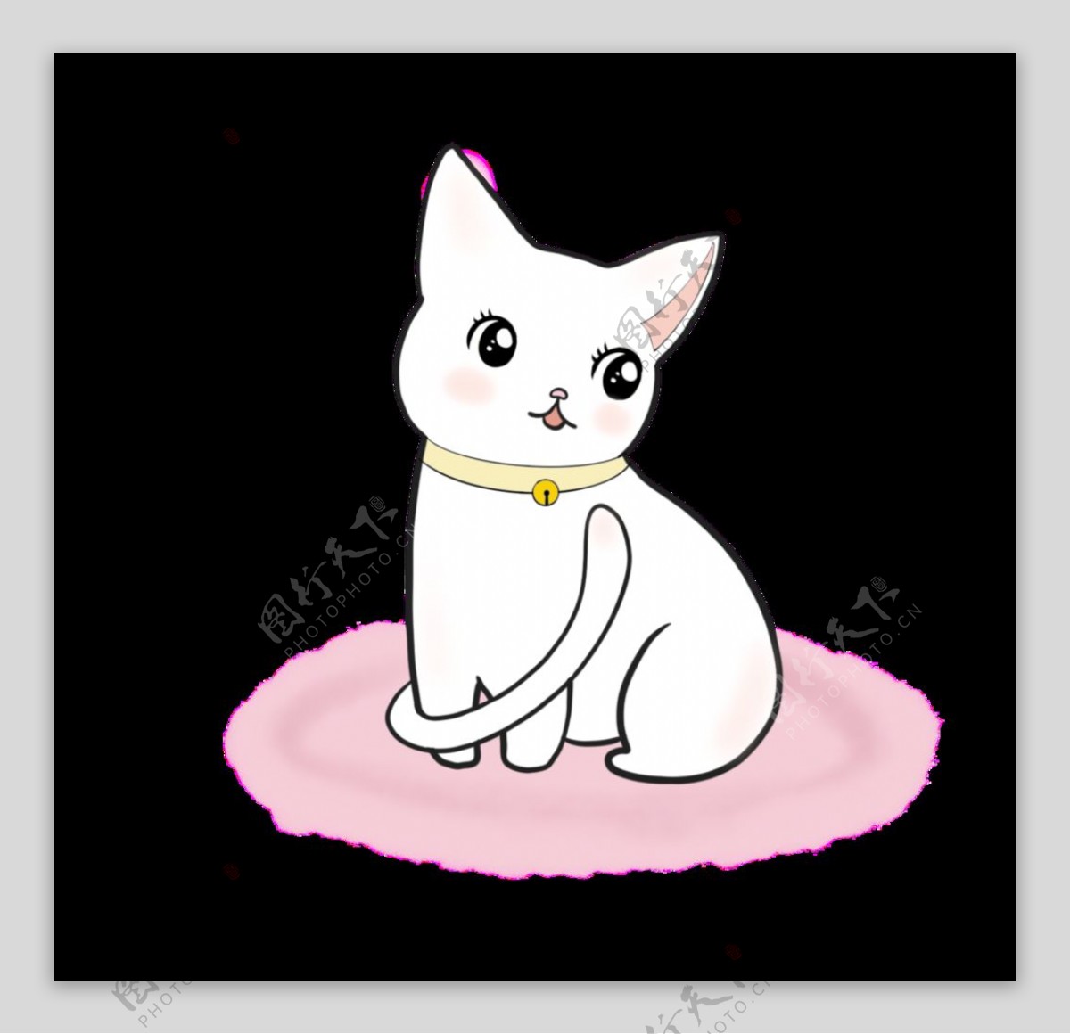 粉色地毯上的白色小猫图片