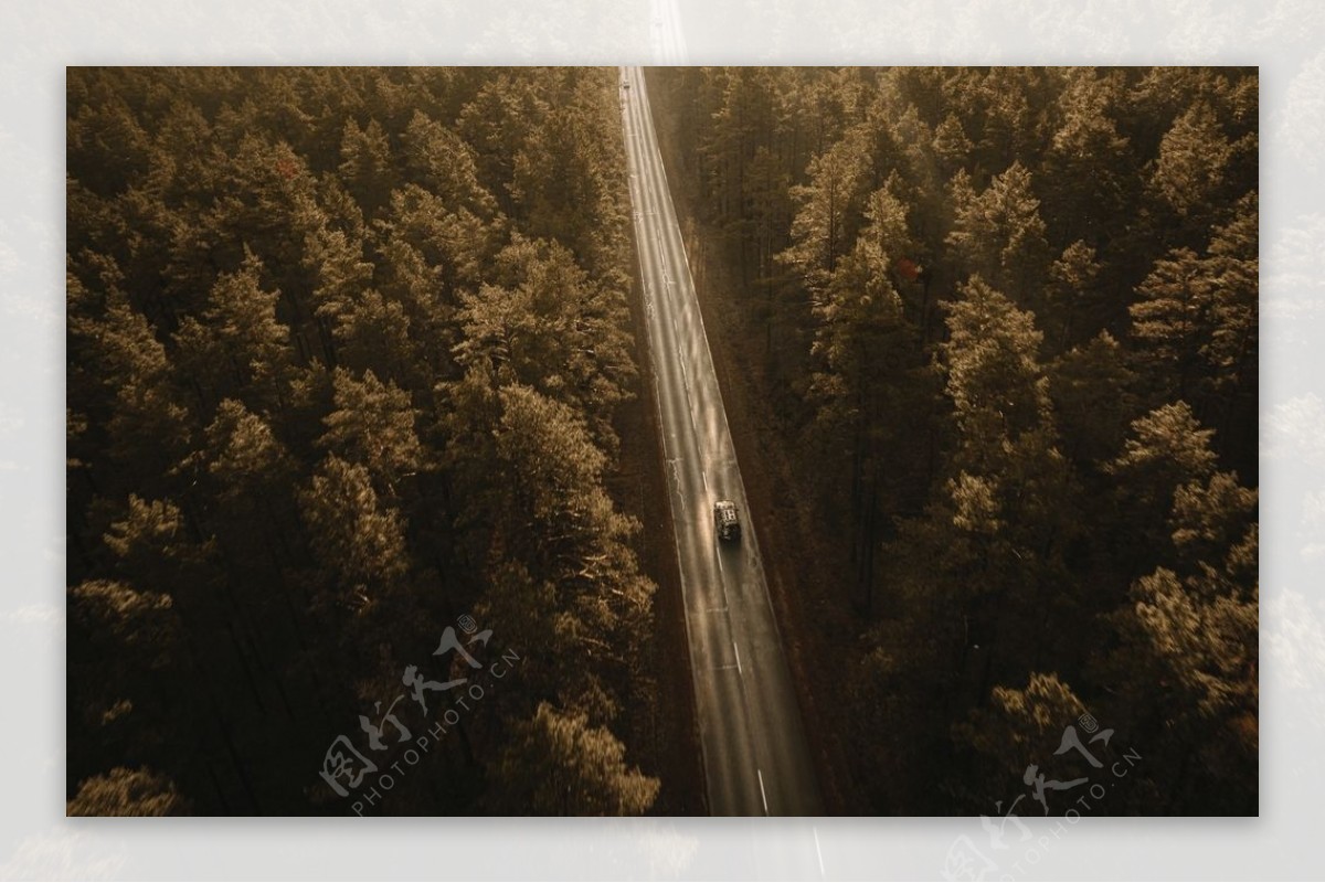 森林公路图片