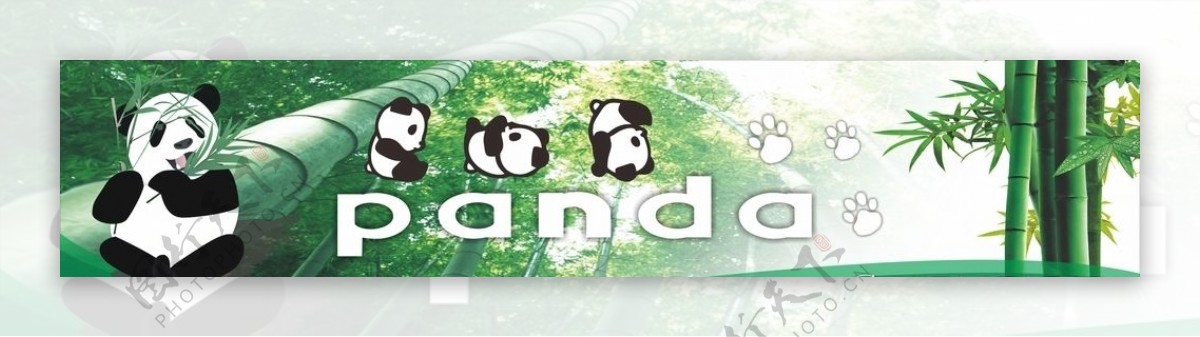 大熊猫喷绘图片