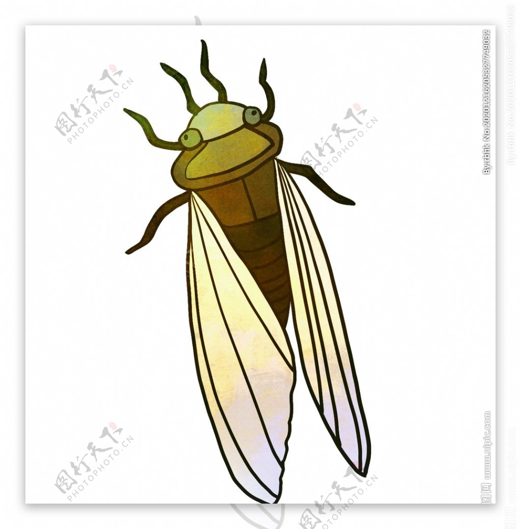 动物蝉的卡通插画设计图__昆虫_生物世界_设计图库_昵图网nipic.com